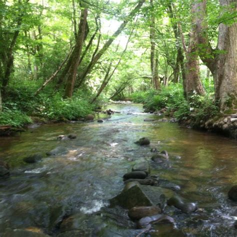 The blue ridge parkway, the appalachian trail in madison county nc, the pisgah national forest, and the great smoky mountains national park in nc and tn. Deep Creek campground, Bryson City NC. Best place in the ...