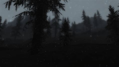 Dark Forest At Skyrim Nexus Mods And Community