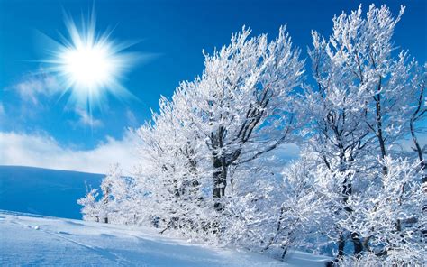 Free Download Sunny Winter Landscape Wallpapers And Images Wallpapers