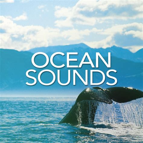 Listen Free to Ocean Sounds - Ocean Sounds Radio on iHeartRadio ...