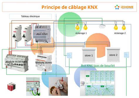 Principes de câblage KNX Ma Maison KNX Installations KNX et