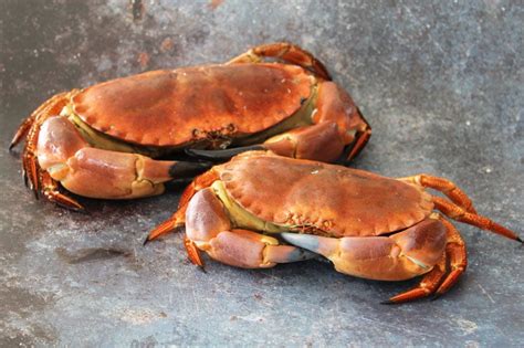 Handpicked Brown Crab Meat Order Online Next Day Delivery