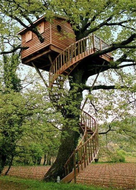 20 cool tree houses around the globe world inside pictures beautiful tree houses cool tree