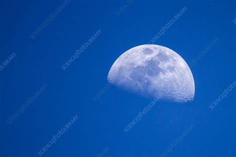 Day Time Moon Stock Image F0113524 Science Photo Library