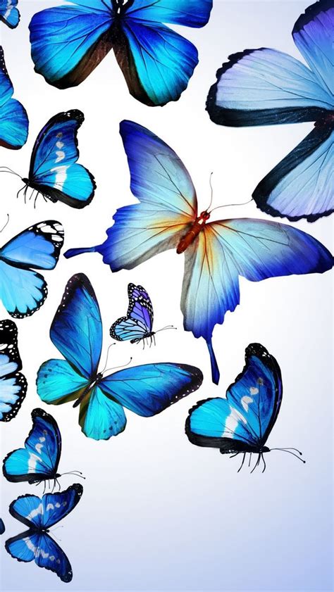 Blue Butterfly Drawing Art Beautiful Iphone Wallpapers Free Download