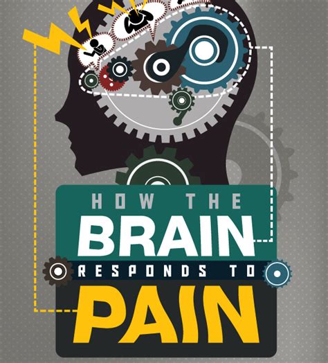 The Neuroscience Of How Chronic Pain Rewires Your Brain Infographic