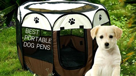 Best Portable Dog Pens