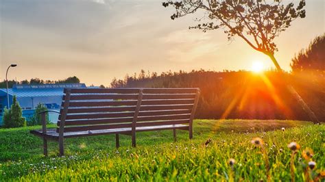 Bench Park Sunlight Summer Picture Photo Desktop Wallpaper