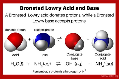 Bronsted Lowry Acid And Base Theory