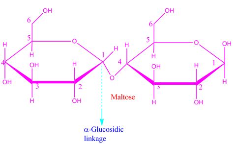 This carbon is called the anomeric carbon and it is derived from the carbonyl carbon (aldehyde or ketone functional group) of the. Definition of mutarotation and how it depends on ...
