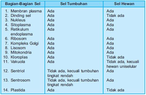 Paling Baru Perbedaan Sel Hewan Dan Sel Tumbuhan Beserta Fungsinya