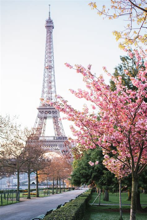 Cherry Blossoms At The Eiffel Tower In Paris Lindas Paisagens