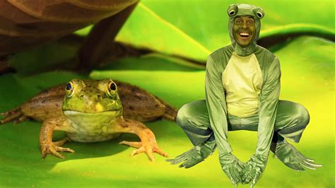 Bbc Iplayer Andys Raps Aquatic 3 Frog Hopping