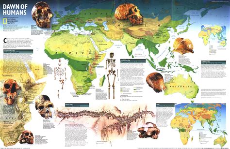 Dawn Of Humans R MapPorn