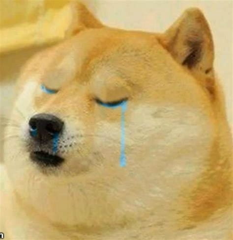 Doge Crying Meme Template Memesportal