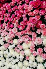 Pictures of How To Make A Fresh Flower Wall