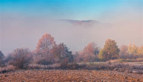 Thick Fog In The Valley Stock Image Image Of Background 124984805