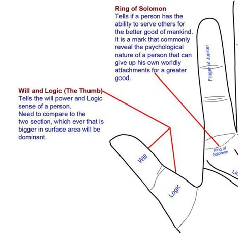 Thumb Position And Shape Astrogurukul