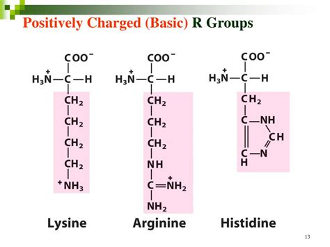 Calculate Pi Of Amino Acid With R Group Ysmyte