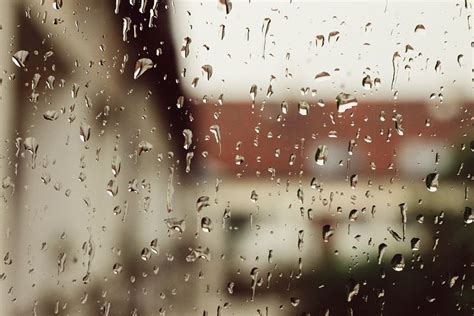 100 Free Rain Shower And Rain Images Pixabay