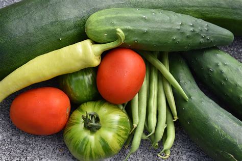 How To Manage Your Garden Harvest Without Losing Your Mind The
