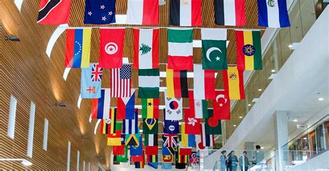 Celebrate The Unveiling Of The New Neomed Flag Display ‘our Cultures