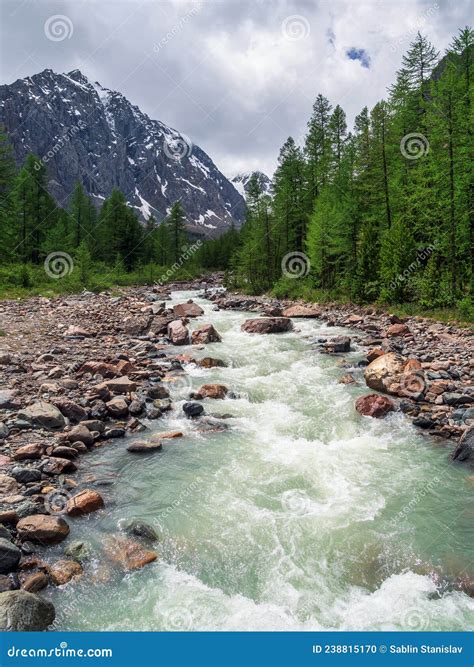 Stormy Mountain River Flow Through Forest Beautiful Alpine Landscape