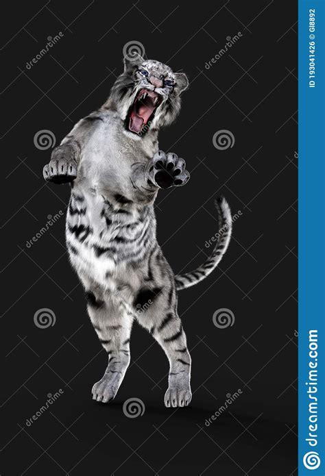 Dangerous White Bengal Tiger With Clipping Path Stock Illustration