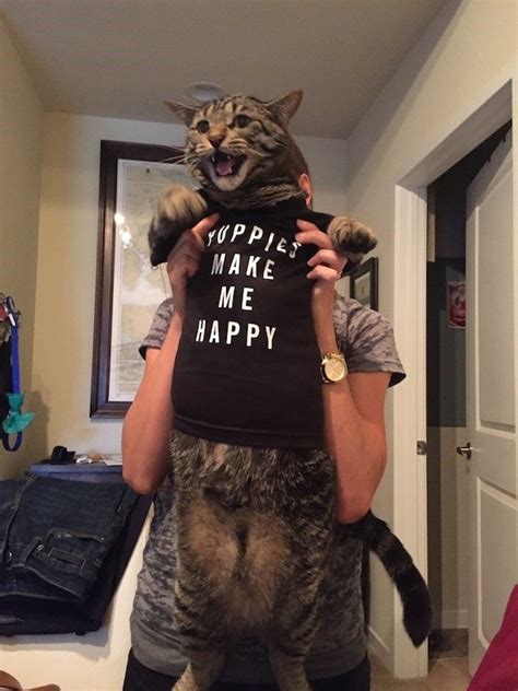 25 consensual belly rubbin' caturday memes to make this day the 30 catitude memes to celebrate another wonderfully lazy caturday. 20 Hilarious Cat Memes To Upgrade Your Caturday Morning ...