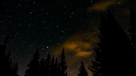 Download Wallpaper 1920x1080 Spruce Stars Starry Sky Night Full Hd