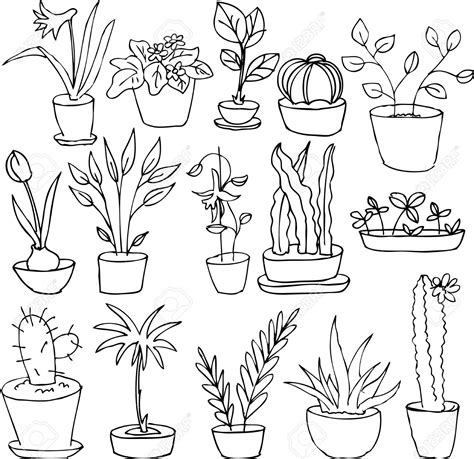 House Plant Drawing At Getdrawings Free Download