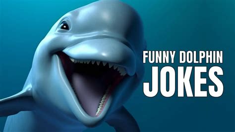 55 Funny Dolphin Jokes And Puns For A Tidal Wave Of Humor Trending News