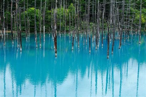 The Blue Pond In Hokkaido Japan