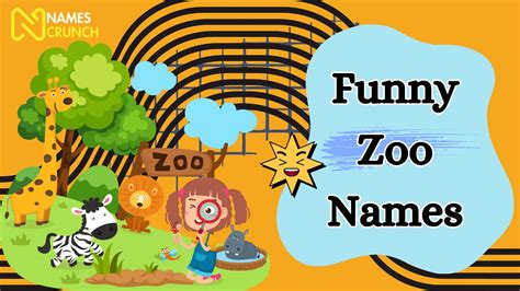 120 Funny Zoo Names Ideas And Suggestions Names Crunch