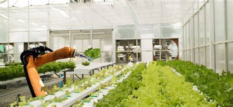 Firms Want To Use Robotics And Ai To Revolutionize Farming But They