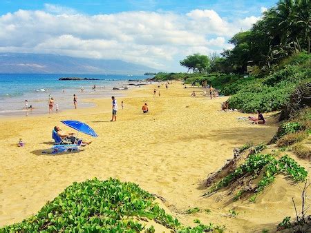 Maui Aloha Vacation Rentals Kamaole Sands Condominiums Kihei Hawaii