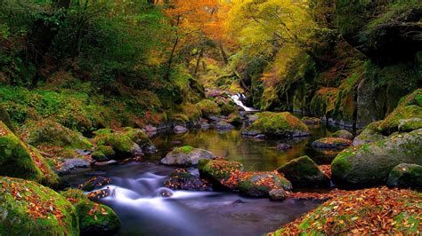 Landscape Forest Waterfall Water Rock Nature Green River Valley