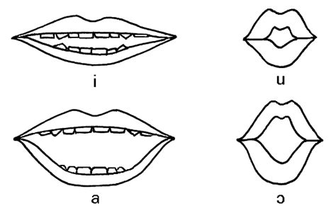 Phonetics Classification Of Vowels