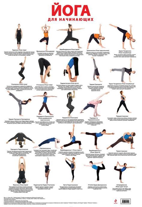 Iyengar Yoga Ashtanga Yoga Yoga Asanas Names Yoga Postures Yoga Sequences Yoga