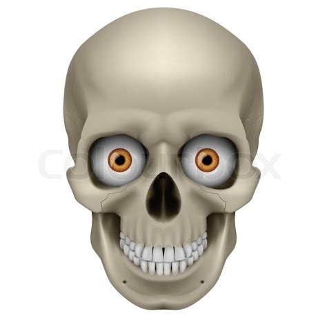 Freaky Human Skull Stock Vector Colourbox
