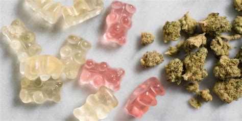 What You Can Expect From Edibles Beginners Guide