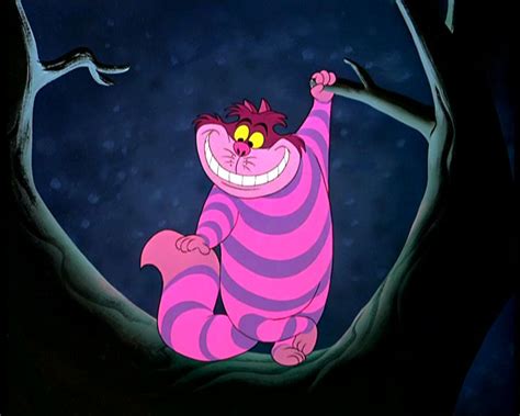 The Cheshire Cat Alice In Wonderland Wiki Fandom Powered By Wikia