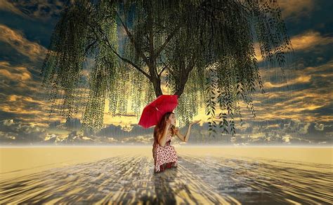 1920x1080px 1080p Free Download Girl With An Umbrella Under A Willow Tree On A Rainy Day