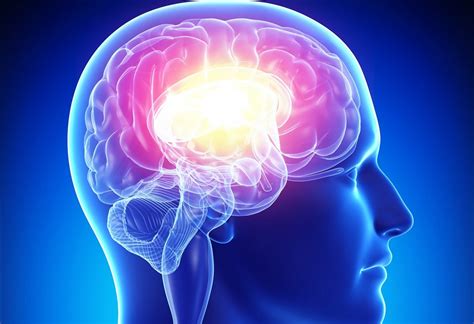 We did not find results for: Sprachtherapie Stolle & Struck - Aphasie