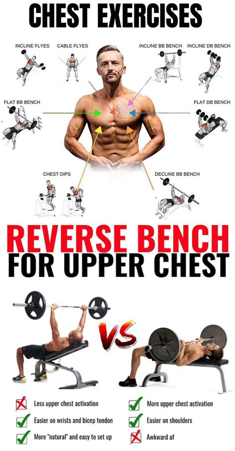 How To Reverse Bench Exercises Guide