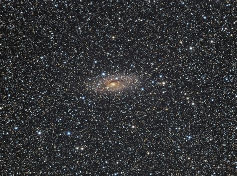 The Circinus Galaxy Eso 97 G13 Astronomy Magazine Interactive