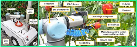 Review Article Recent Advances In Intelligent Automated Fruit
