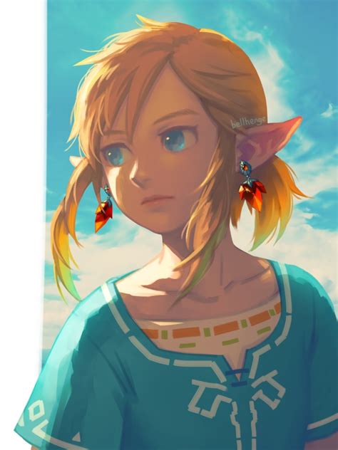Link Breath Of The Wild Zelda No Densetsu Breath Of The Wild