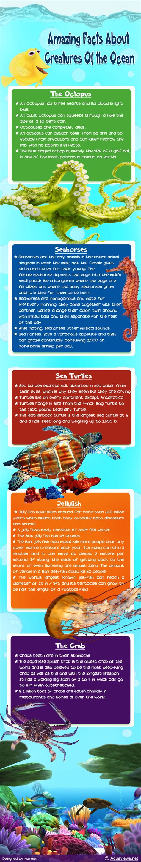 Amazing Facts About Creatures Of The Ocean Infographic Life Facts Fun