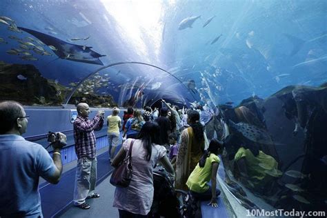 10 Best Aquariums In The World 10 Most Today
